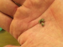 C7D3DAA2-1A7D-4154-9F3E-572DABB3298D