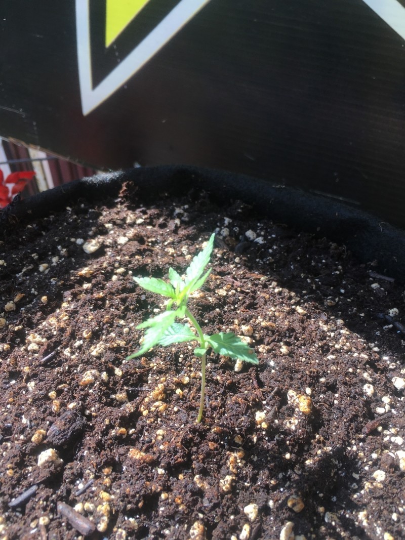 8D60AD89-6D29-49C8-8716-BD1F40B6766B