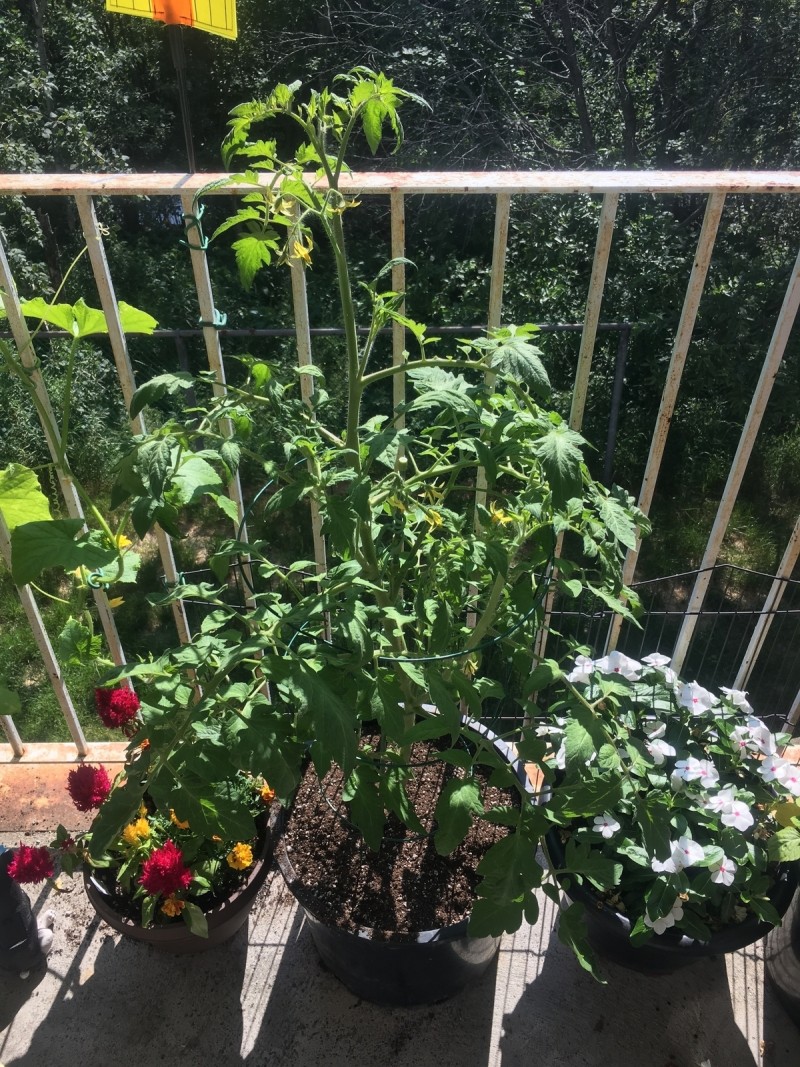 427FBEE9-9FF4-4968-8FDC-14270B143094