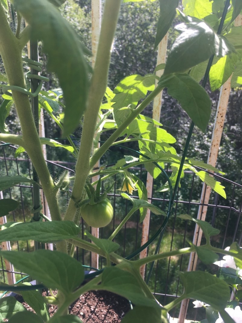 5BE65BC0-4BE2-4C0E-A61E-008BCB30BFA2