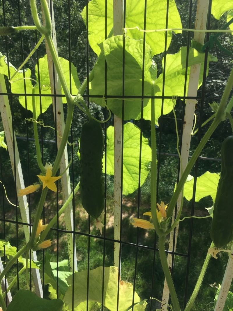 FF7DC64D-4009-4614-9935-9D8EAD11F2FC