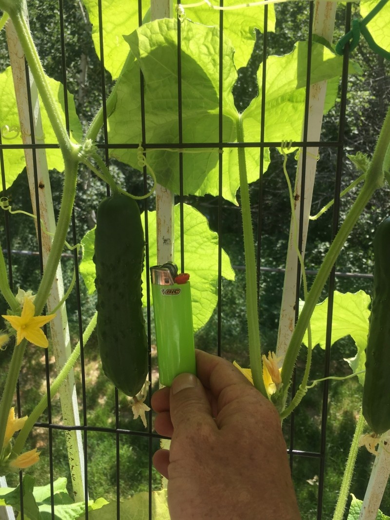 49C97EAA-FB97-4614-80A5-FAC71A62A6B6