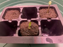 6732FB6B-8BE3-4CD1-86FC-B8659E5DDCBB