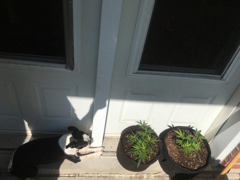 9C332F30-05F6-4FA6-A398-9F512E930001