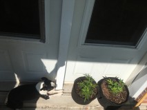 9C332F30-05F6-4FA6-A398-9F512E930001