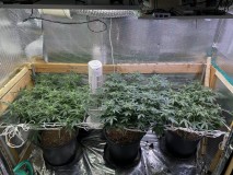 290F02C7-0A3D-4BEA-BD44-77703AC173C3