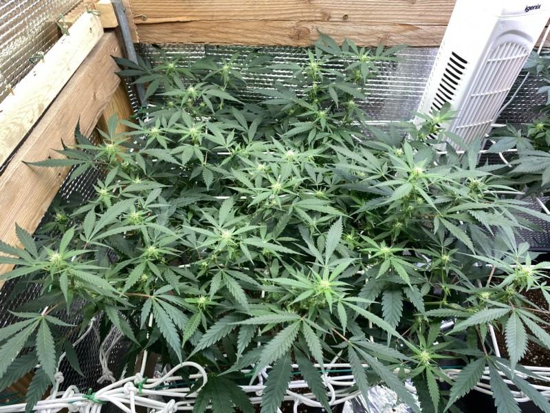 7D717474-9E39-43E1-8170-5D98A28C0284