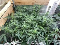 7D717474-9E39-43E1-8170-5D98A28C0284