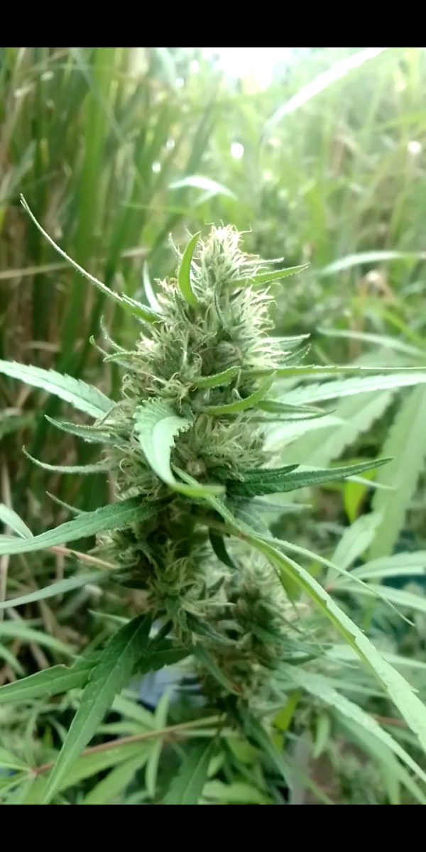 Screenshot_20230323-085513