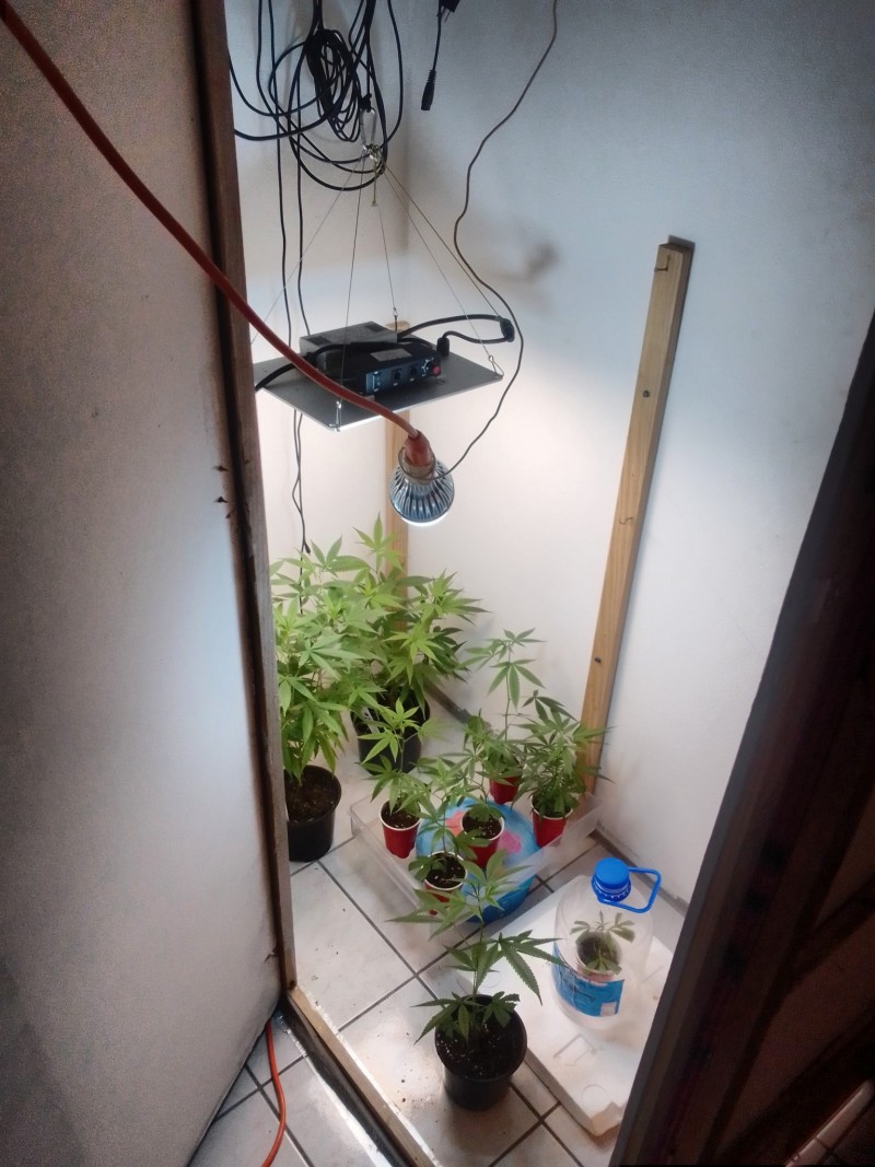 IMG_20230323_075456_HDR