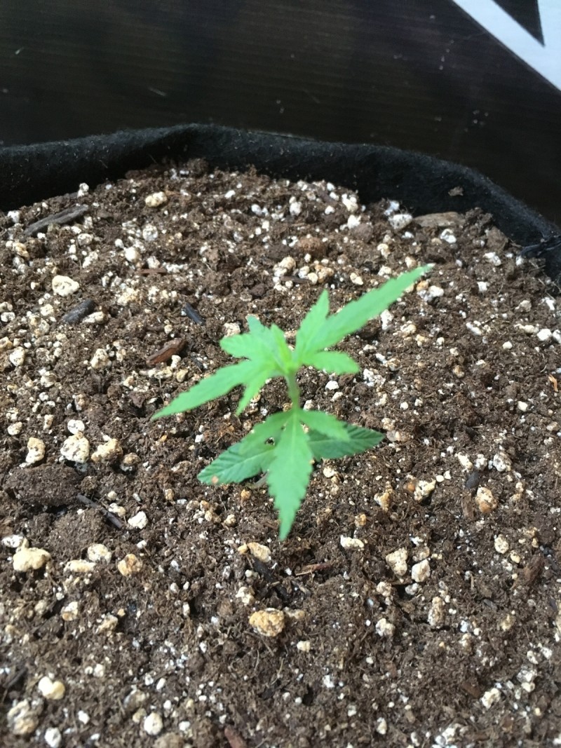 4E701BB6-025C-4E3F-92C6-CA055CE30703