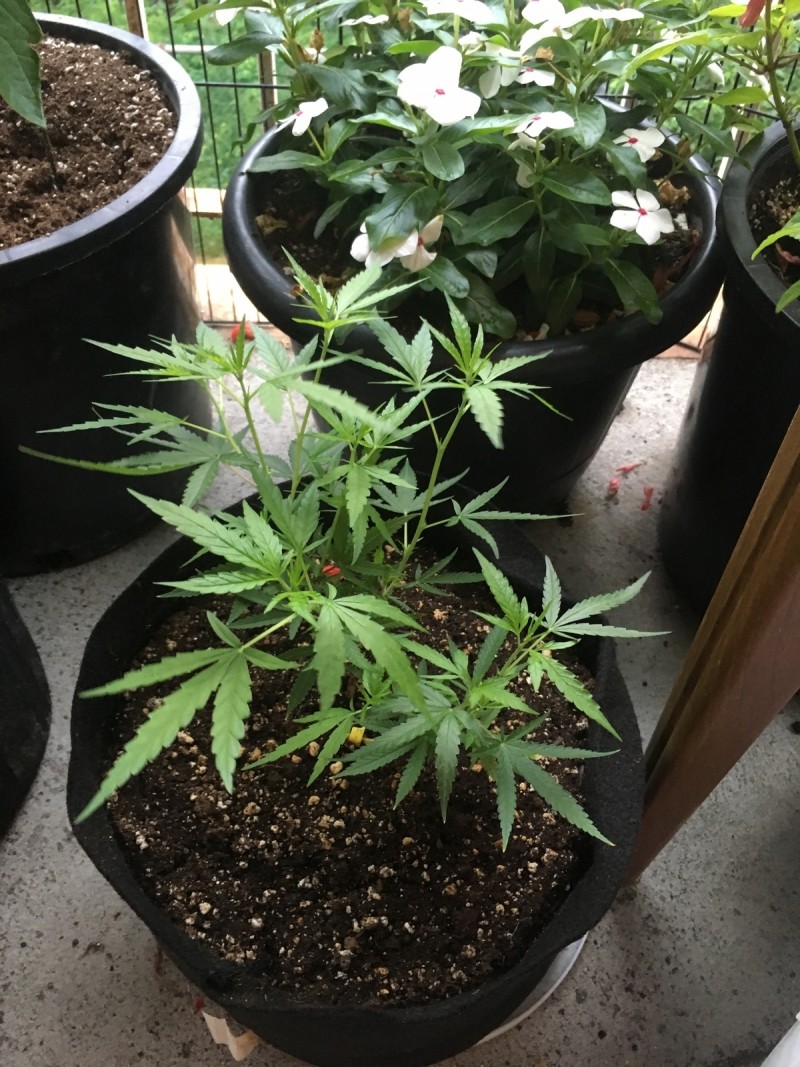 BEC5B495-A267-4B5D-A4D5-49D32D45BF4C