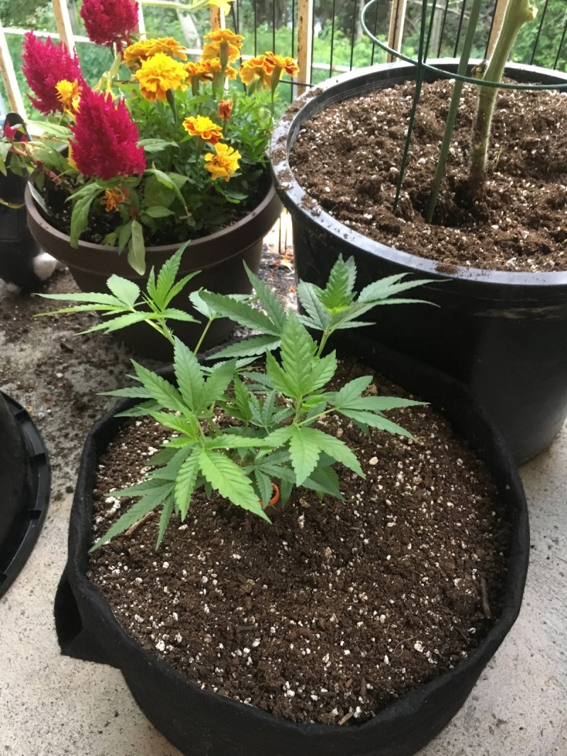 58064CB2-B404-4CD0-BFCE-37136A4BB463