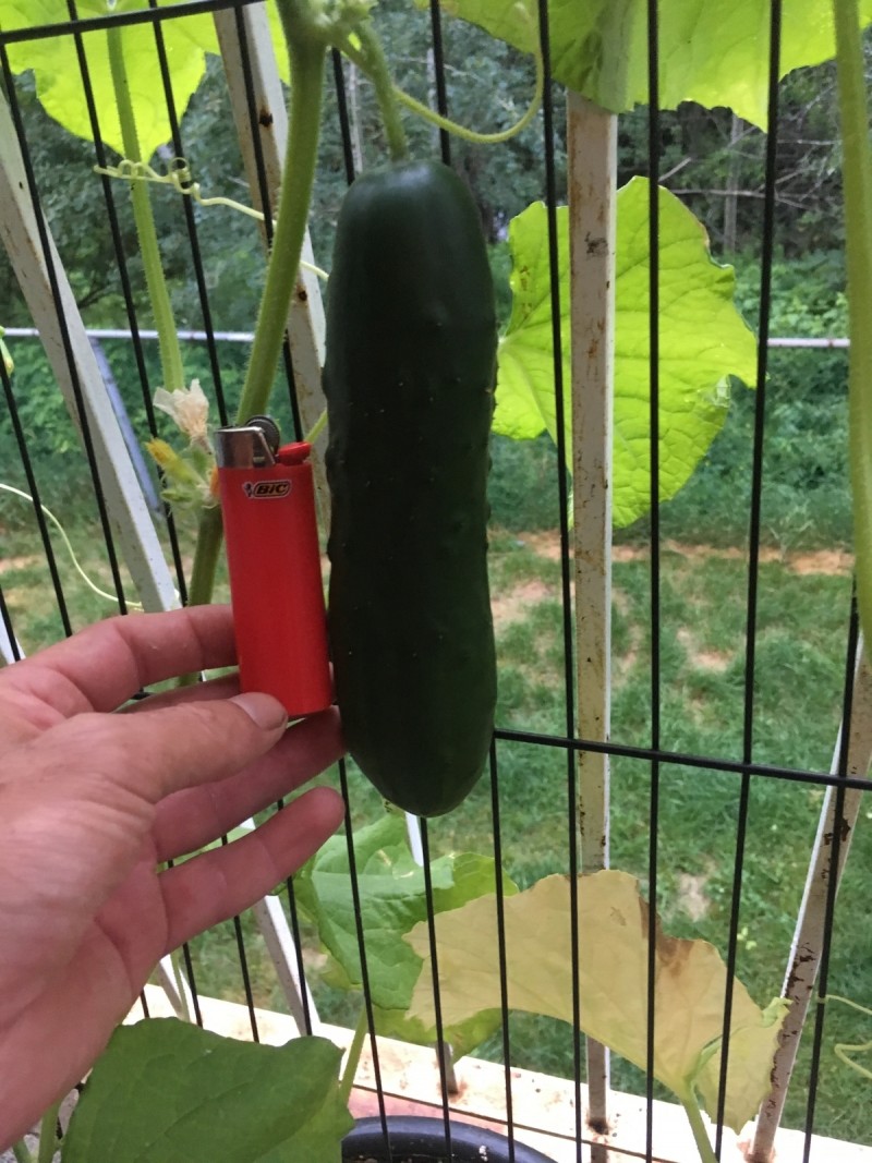 5EFA66DF-1495-458F-AF58-6EA20B2149CD