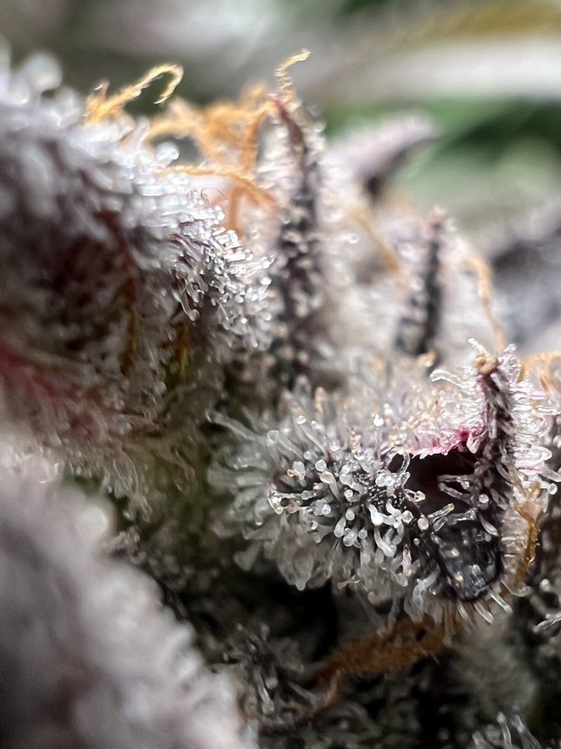 0B42CCB6-1577-45D5-9112-D3C0E5747248