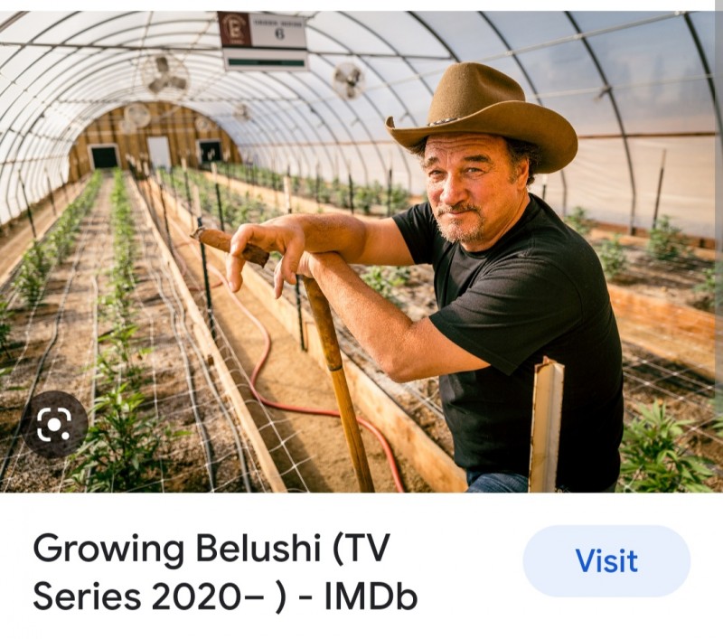 Screenshot_20230327_120630_Chrome