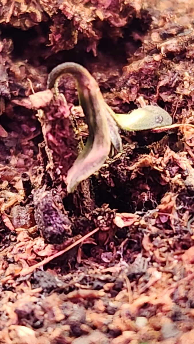 16799473379047190855811593847702