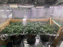 B0EB404E-C547-4599-B9A9-EACAB5064CAF