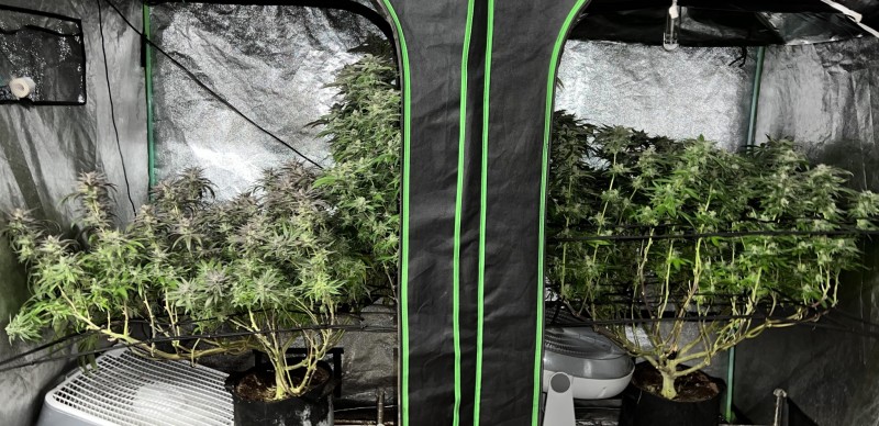 DD571052-4004-49B9-BB77-ECAA0FFB8F4F