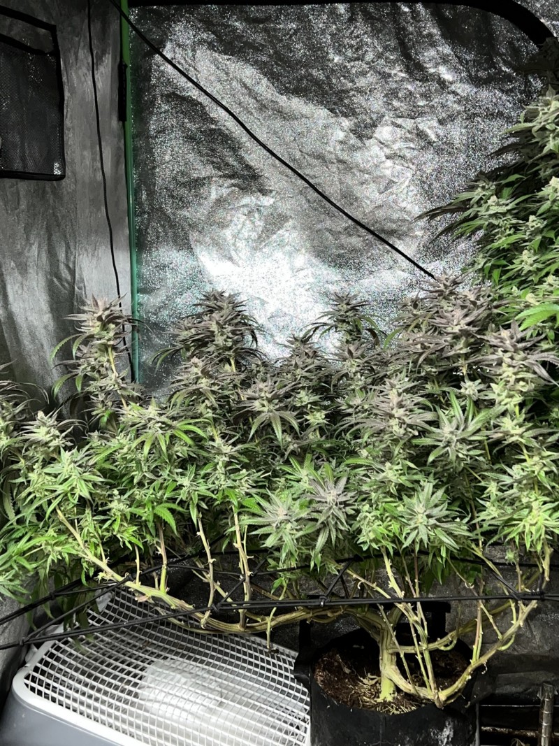 66E02DBB-1CDC-491A-9290-2DEA1F1ACA82