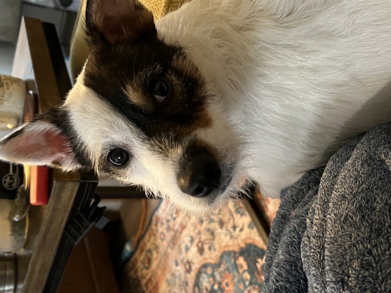 D2A0AB71-CE7A-4745-8D82-DD4F74999AAC