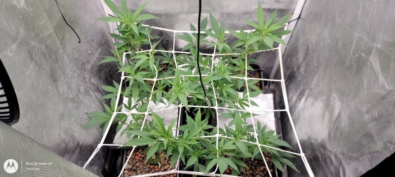 IMG_20230401_201537566