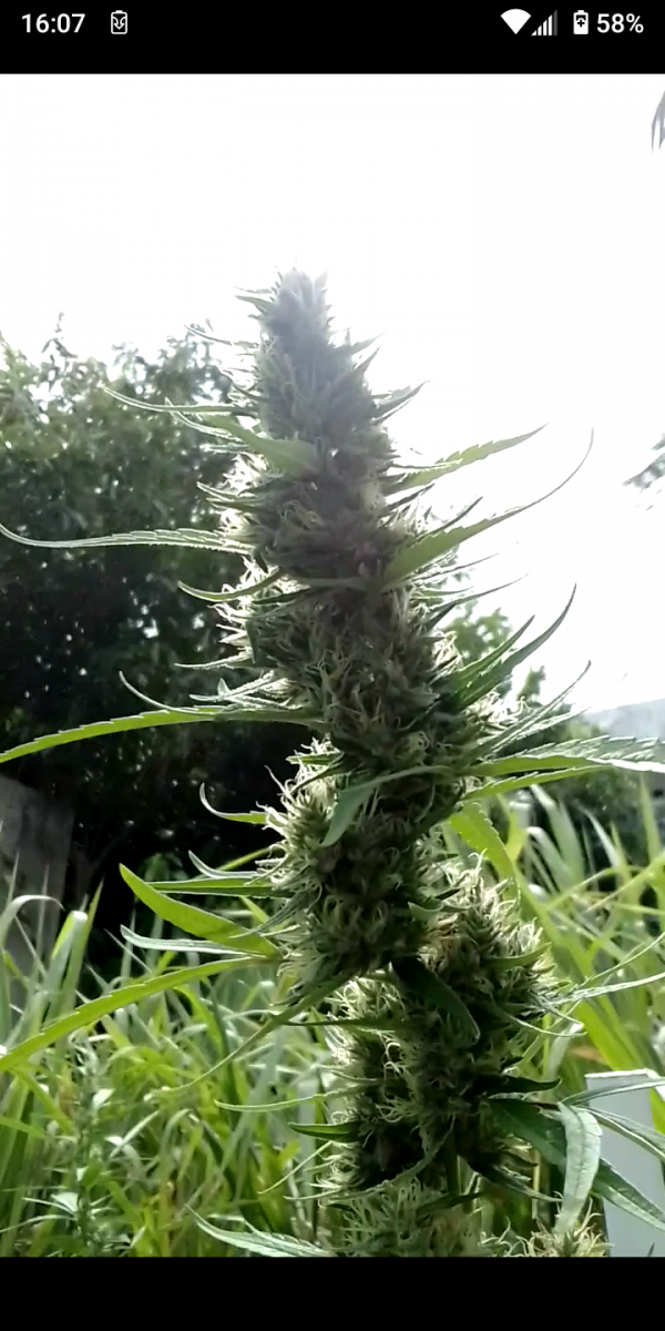 Screenshot_20230401-160701