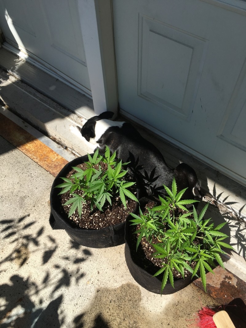 95B503E0-50F9-4898-832E-DCB4776E692D