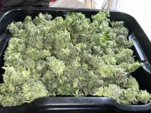 5BCA5805-EFD4-4522-B938-2D1D94C3E760