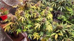 1680565745530940534814073342488