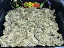 BF461DDB-D0C4-446B-9860-CA36BA593F1B