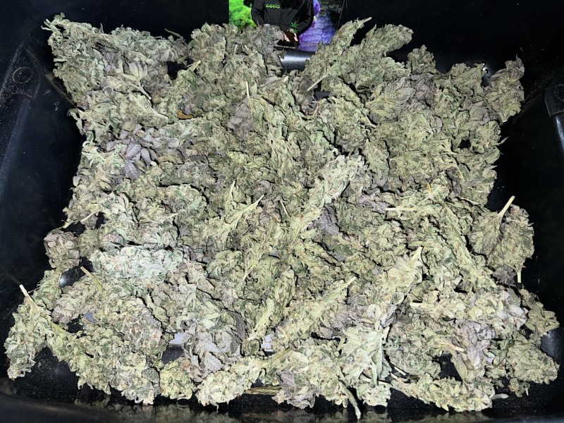 474BD844-4339-4DC2-AFE9-1FD6C6900EFC