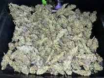 474BD844-4339-4DC2-AFE9-1FD6C6900EFC