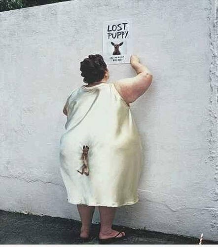 fd6b0b3162b84fe49a2b8c89384e96d3203bfa51_2_442x500