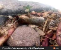 5268297fd146363fc2d858542cf0212f9d4e3508_2_617x500