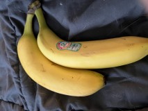 1C379C5F-2EFB-4E40-BBAC-6FA7A796D31E