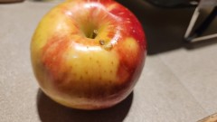 16808083716484682259965579530782