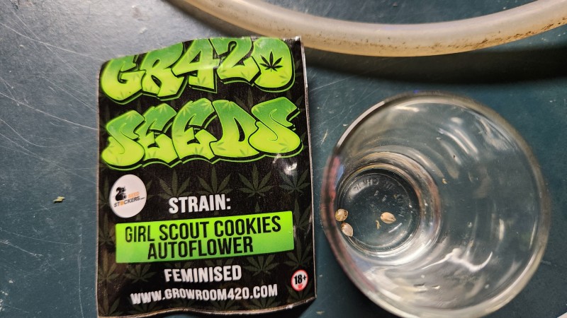 16808255213058116241094304886406