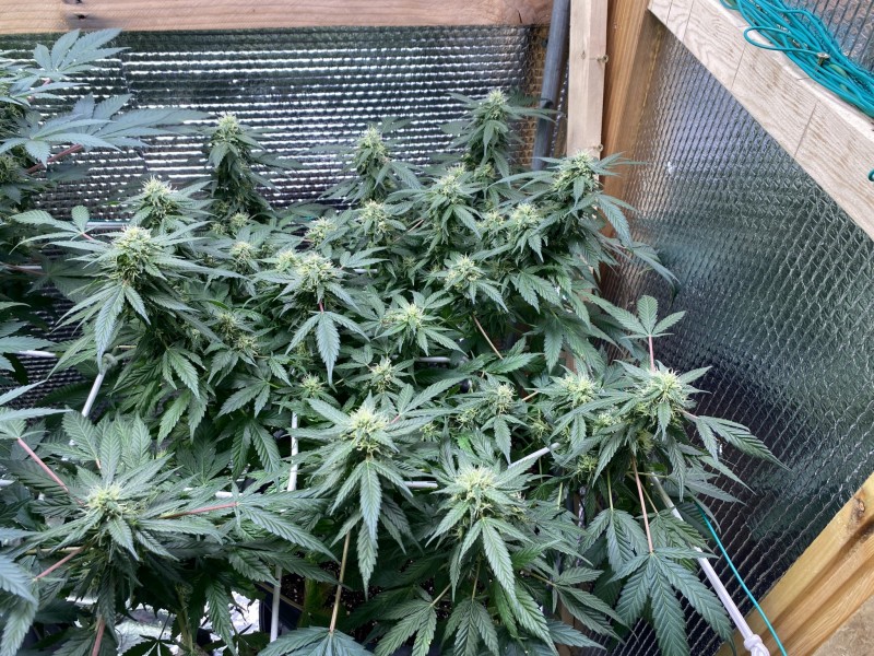 D4A1F6AF-13CD-4EEB-A2C6-EC7E3D2722A8