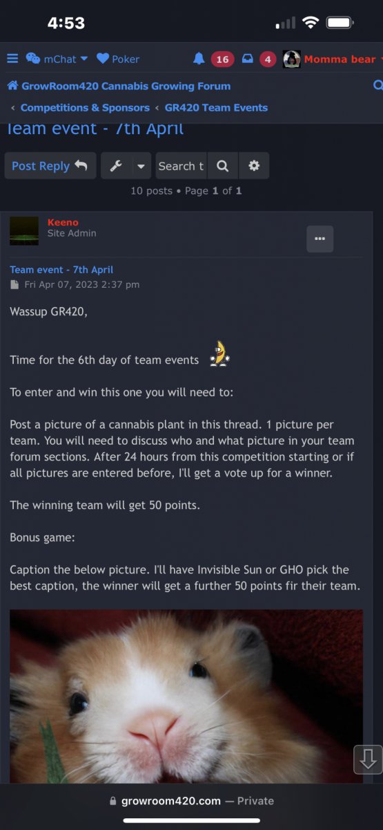 E5B288D5-7B5B-4E77-8ACE-6839D033D1BF