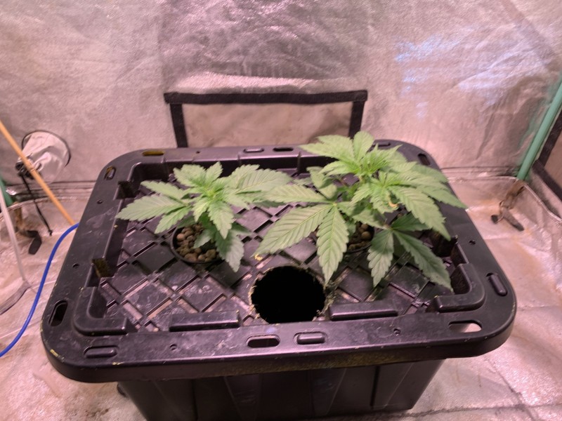 BBE3233E-39A7-411C-84C0-627EFAAC1DDF