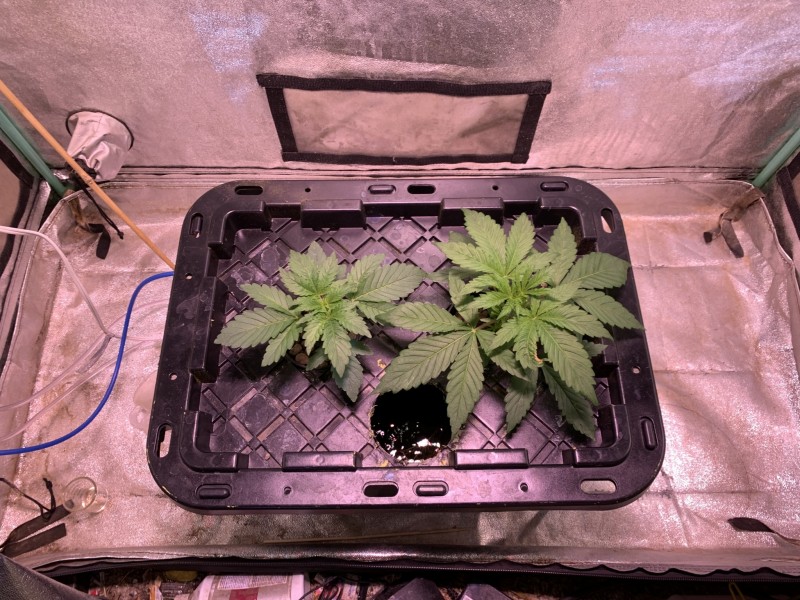 04442A67-A72B-49DC-A5A0-213F263035A7