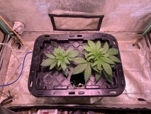 04442A67-A72B-49DC-A5A0-213F263035A7