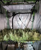 E79B896B-6DE3-46B3-99D5-18FB94989C65