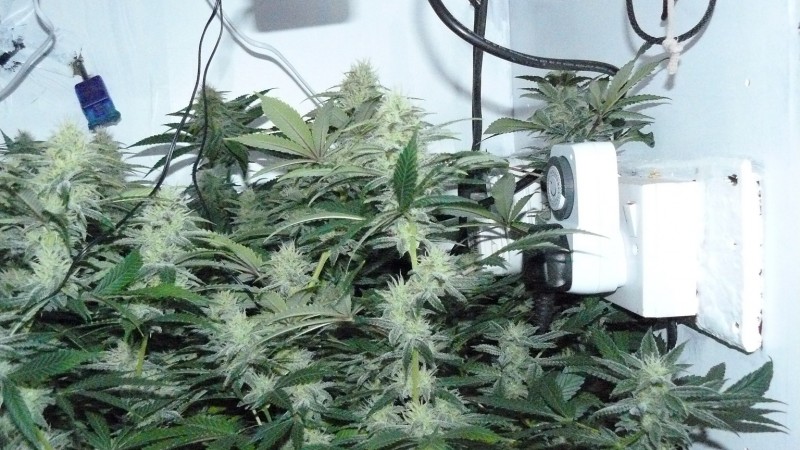 chair diag drobes etc 08 04 23 058