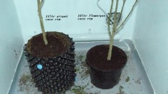 chair diag drobes etc 08 04 23 059