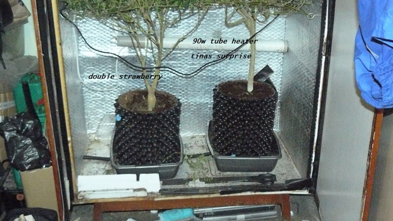 chair diag drobes etc 08 04 23 076