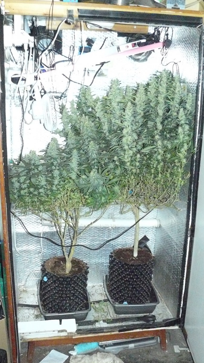 chair diag drobes etc 08 04 23 077