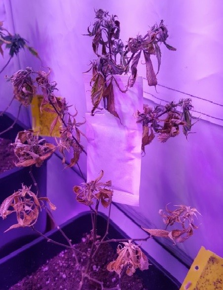 20230308_171218_ (1)