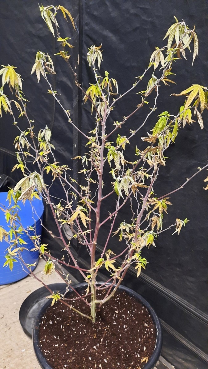 317A61DB-892C-4A50-B3ED-9FBF2209B138